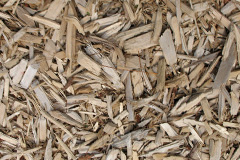 biomass boilers Skirling